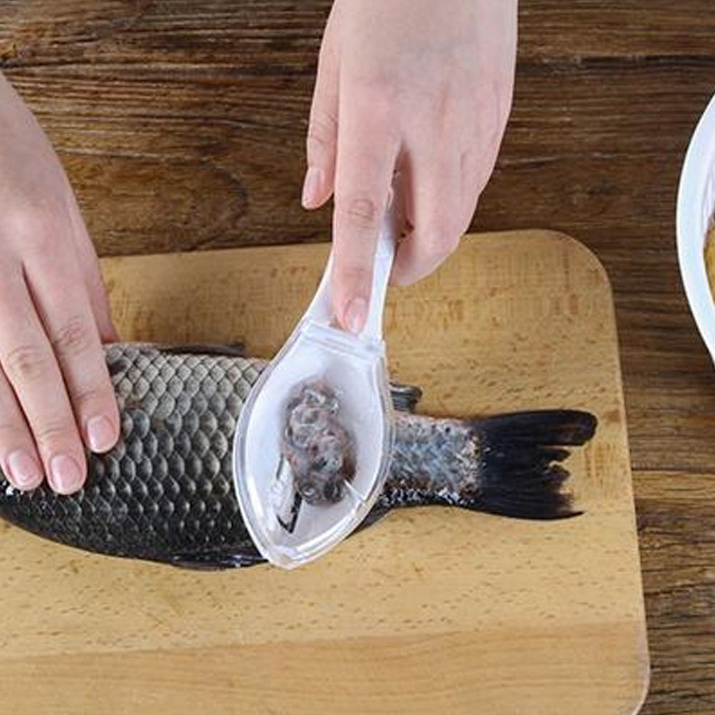 Fish scraper tool with ergonomic handle for easy use. fish scale scraper tool, fish descaler with lid, kitchen fish cleaning tool, fish scale remover scraper, plastic fish scaler, fish skin peeler, fish scale collector