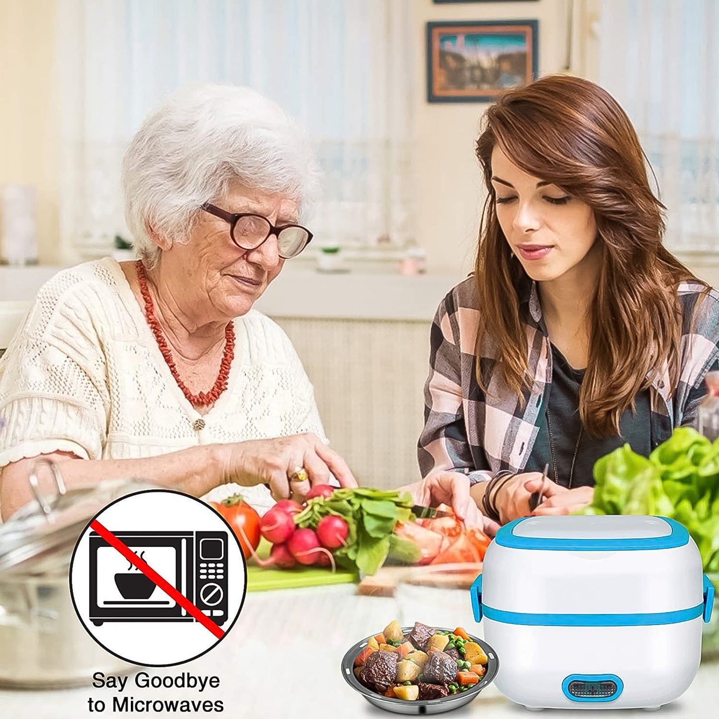 portable food heater for office lunch, electric lunch box with steaming option, best electric lunch box under 1000,