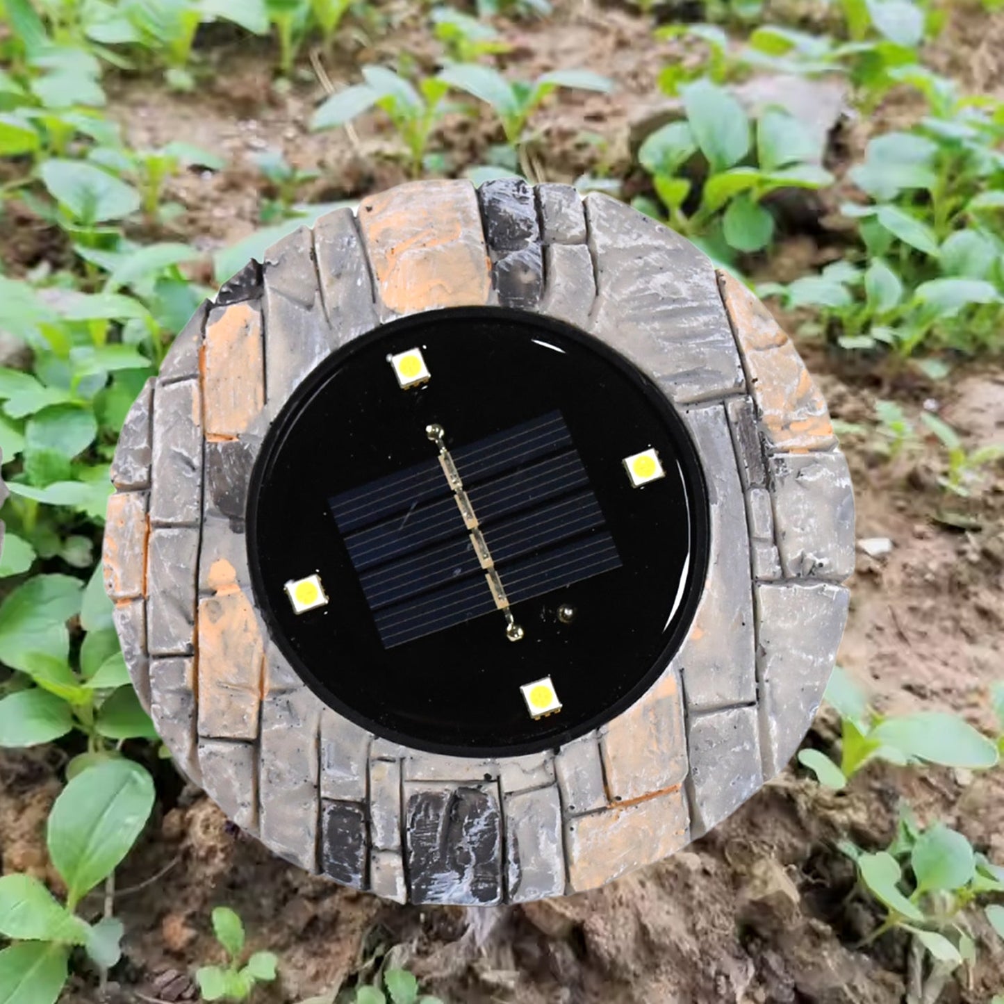 solar lights for entrance path and driveway, solar garden lights with ground stake, best solar outdoor lights in India,