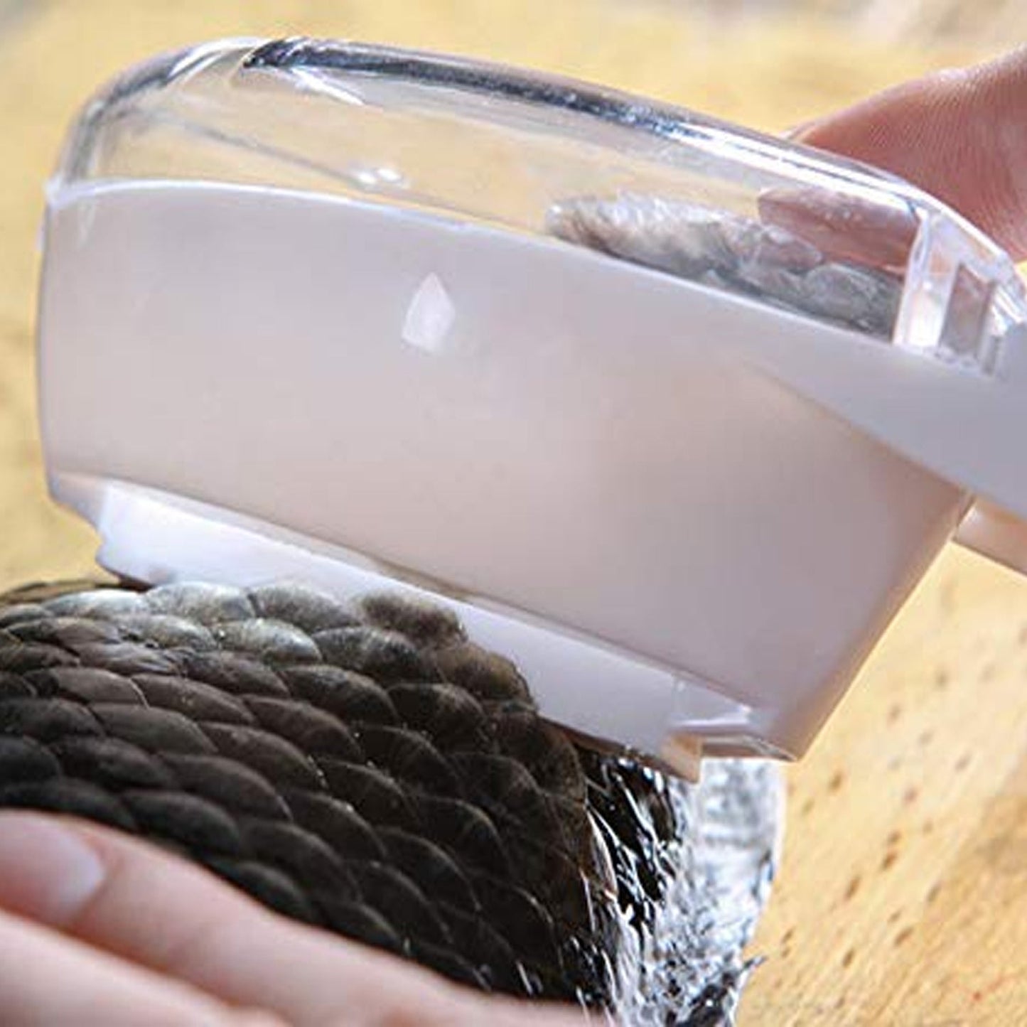 Effective fish scale scraper for home cooking. fish scale scraper tool, fish descaler with lid, kitchen fish cleaning tool, fish scale remover scraper, plastic fish scaler, fish skin peeler, fish scale collector