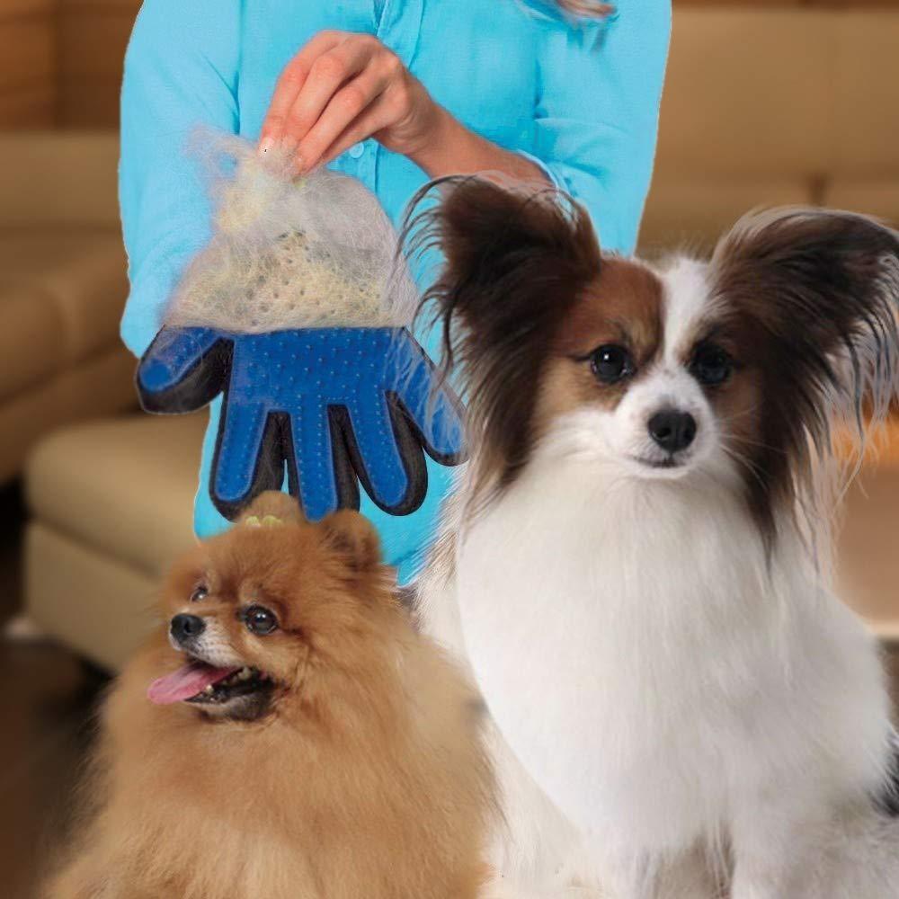 pet grooming glove, dog hair remover glove, cat deshedding glove, pet brush glove, grooming glove for pets, dog grooming brush, cat grooming glove, pet hair remover, reusable grooming glove, pet cleaning glove