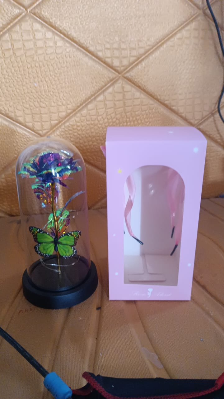 romantic gift for wife or girlfriend, LED decor lamp India, preserved flower in lighted dome, butterfly rose lamp, mood light with preserved rose