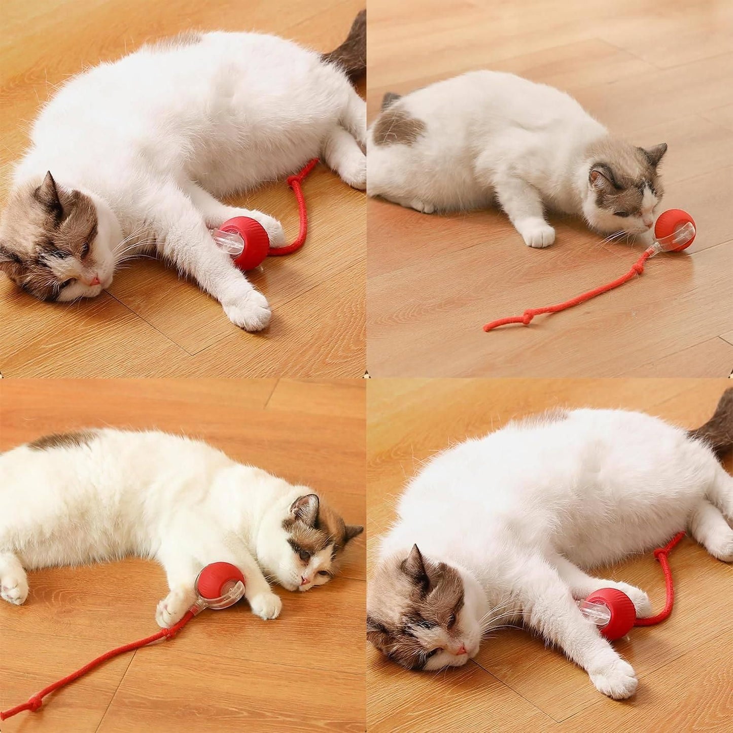 interactive cat toys India, motion activated pet toys, smart cat toys for indoor use, rolling ball toys for cats, pet toys for kittens, viral cat toys, smart pet toys India, interactive kitten toys, indoor cat toys India, motion sensor pet toys