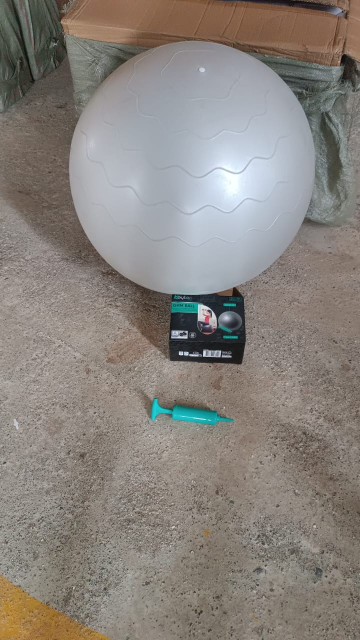 balance ball, stability ball with pump, anti-burst gym ball, home workout equipment, inflatable workout ball, foot pump exercise ball, gym ball for fitness, non-slip stability ball, pilates ball, total body fitness ball