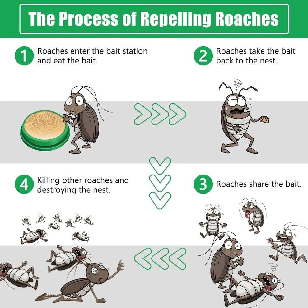 roach killer India, indoor pest control, gel for killing cockroaches, home safe cockroach gel, insect killer gel,