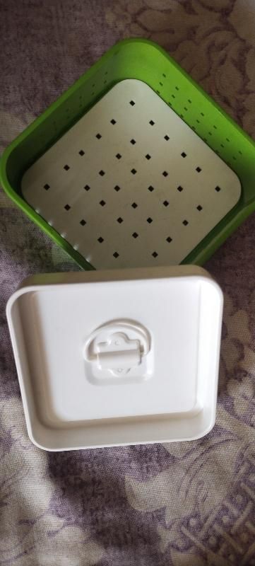 cheese making container, paneer press with lid, homemade cheese maker, paneer kit India, paneer container with lid, paneer making tool, paneer press for home use