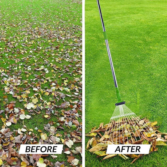 Before and after comparison of a lawn with leaves using a rake. Lightweight telescopic rake demonstrating adjustment guidance and anti-skid handle for yard cleaning