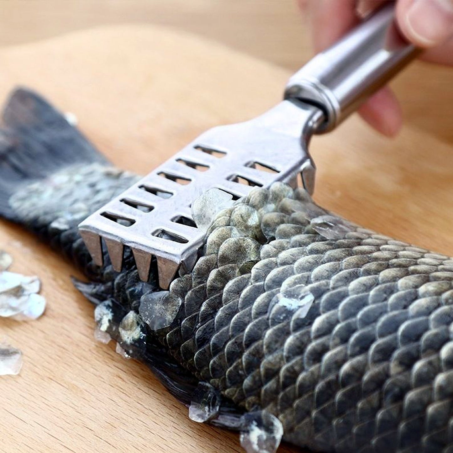 Lightweight fish scale remover with comfortable grip