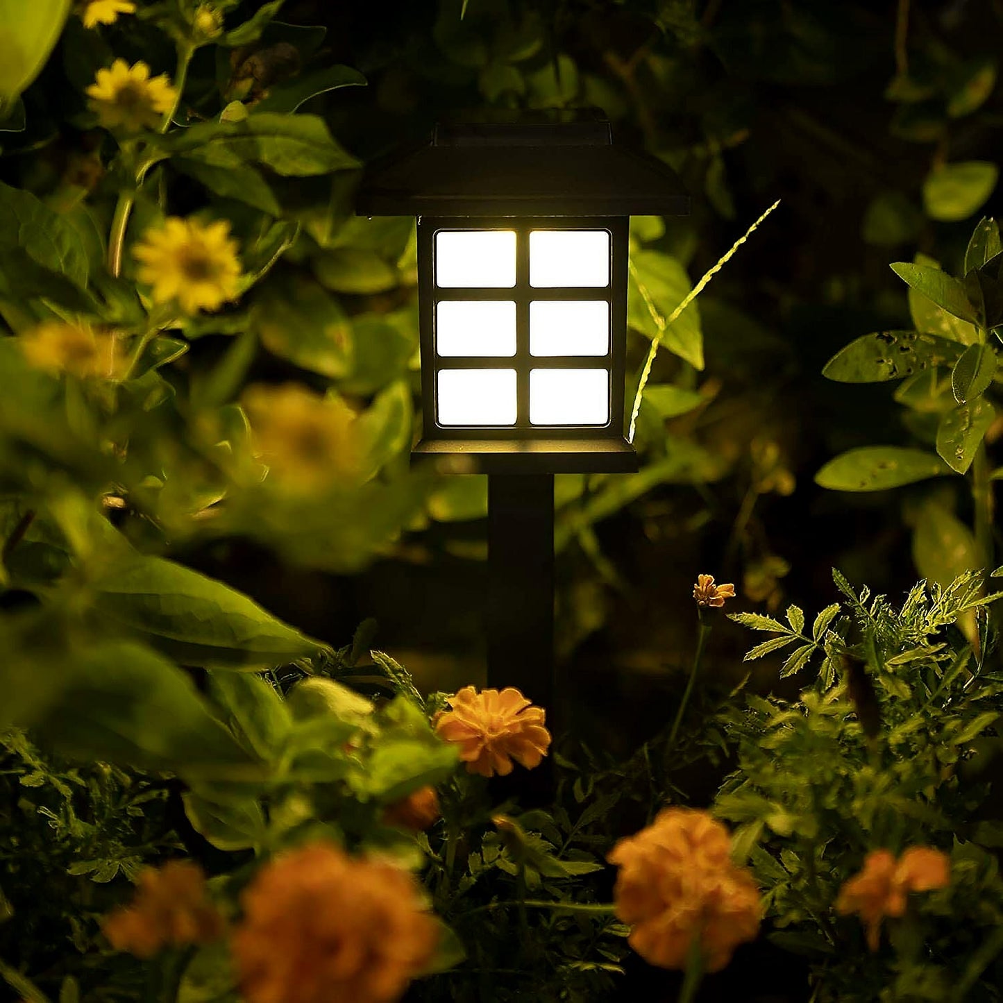 Outdoor LED solar lawn lights installed in a landscaped garden