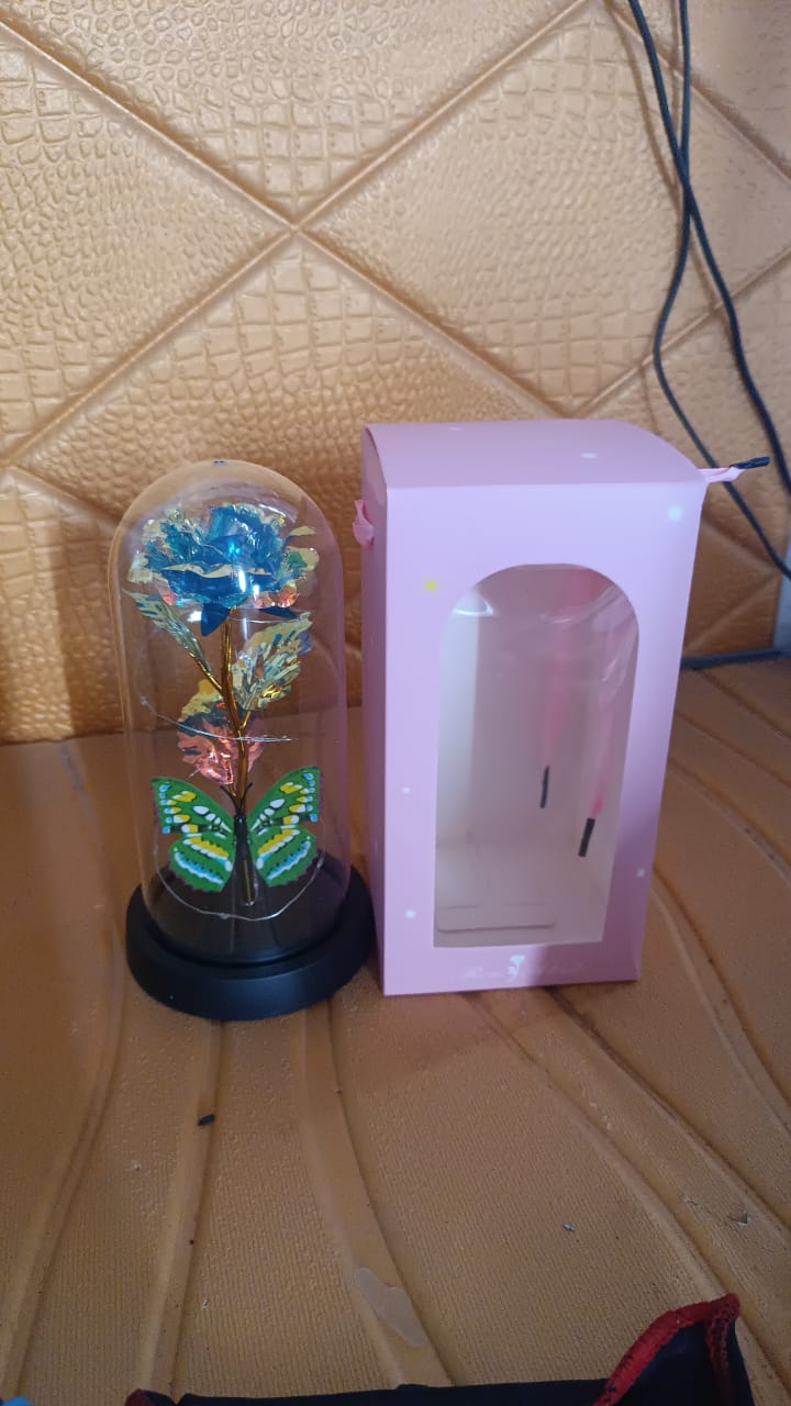 rose lamp with plastic dome cover, color changing flower lamp India, night light for romantic home décor