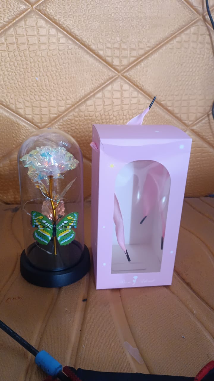 best rose lamp under 500, unique rose light gift idea, LED glass dome rose light India, rose lamp with butterfly decoration, glowing rose light for special occasions