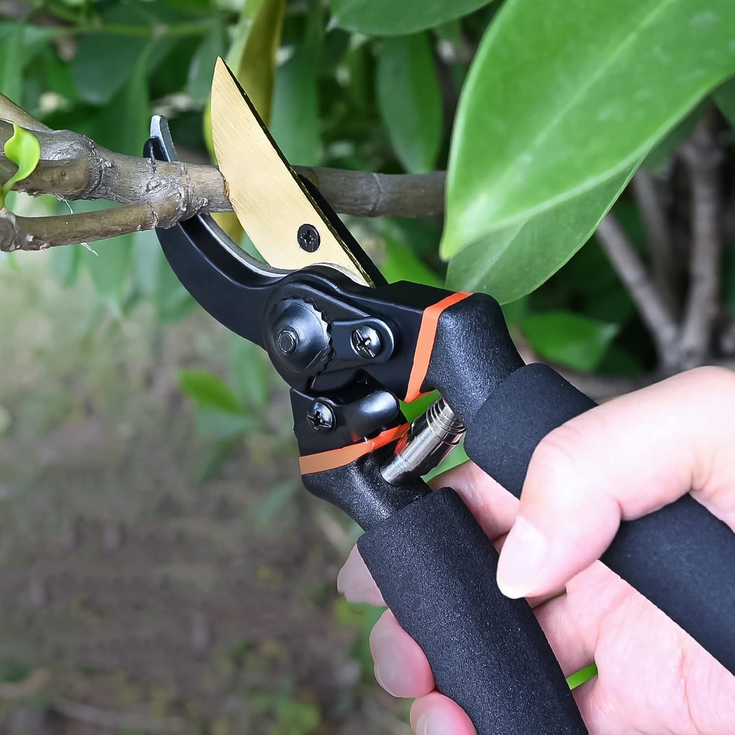 rust proof garden shears, professional pruning shears India, buy garden tools online India,