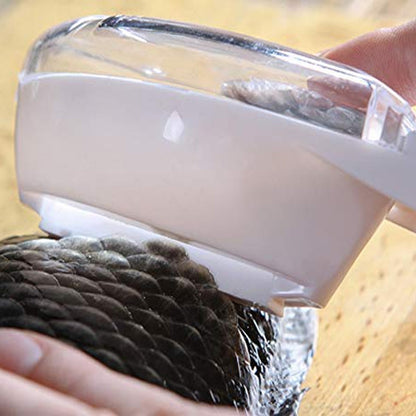 Effective fish scale scraper for home cooking. fish scale scraper tool, fish descaler with lid, kitchen fish cleaning tool, fish scale remover scraper, plastic fish scaler, fish skin peeler, fish scale collector