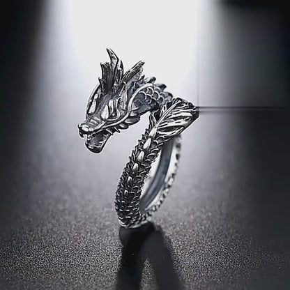 Silver Adjustable Dragon Ring Pack of 2 – Multicolor Alloy Rings Free Size