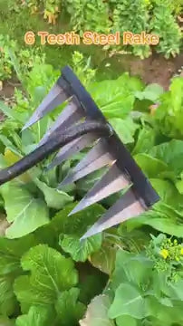 5 Teeth Carbon Steel Garden Weeding Tool – Hand Rake for Soil Loosening, Weeding, and Cultivation
